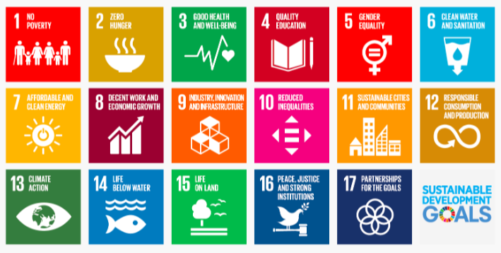 聯合國發表17項永續發展目標