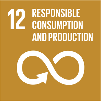 Ensure sustainable consumption and production patterns